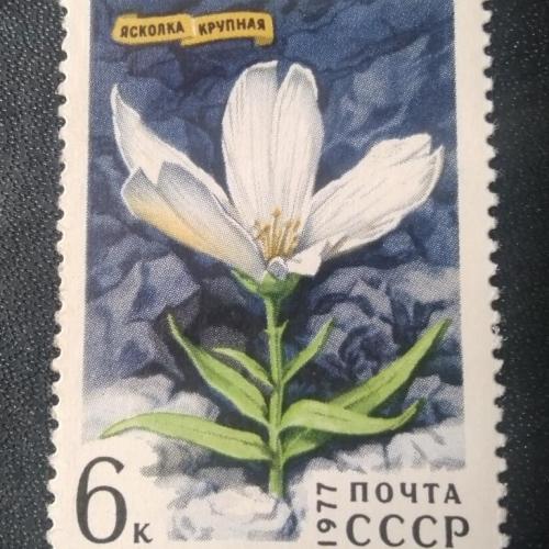 СССР 1977 Ясколка крупная Цветы