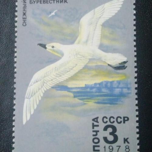СССР 1978 Животные