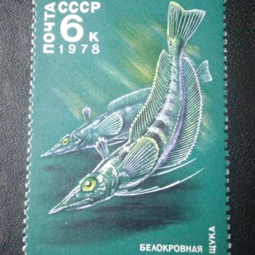 СССР 1978 Животные