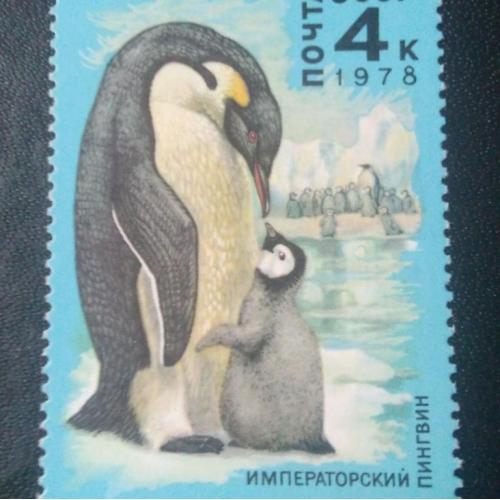СССР 1978 Животные