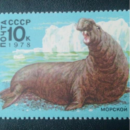 СССР 1978 Животные