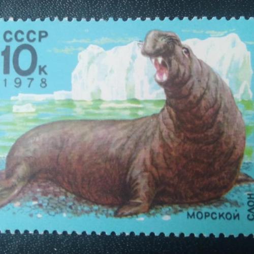 СССР 1978 Животные