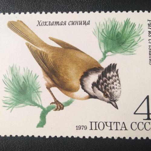 СССР 1979 Птицы