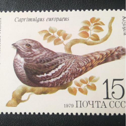 СССР 1979 Птицы