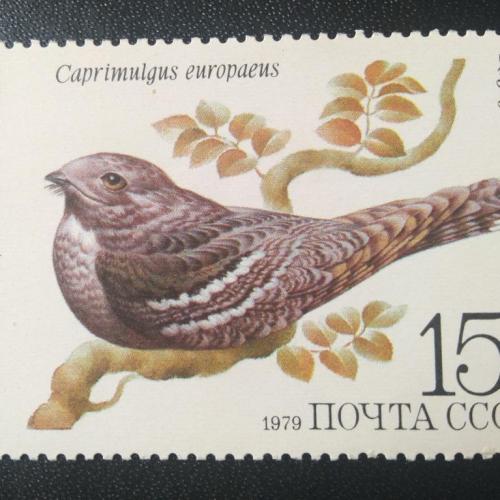 СССР 1979 Птицы