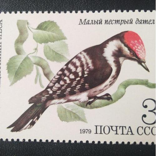 СССР 1979 Птицы