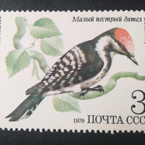 СССР 1979 Птицы