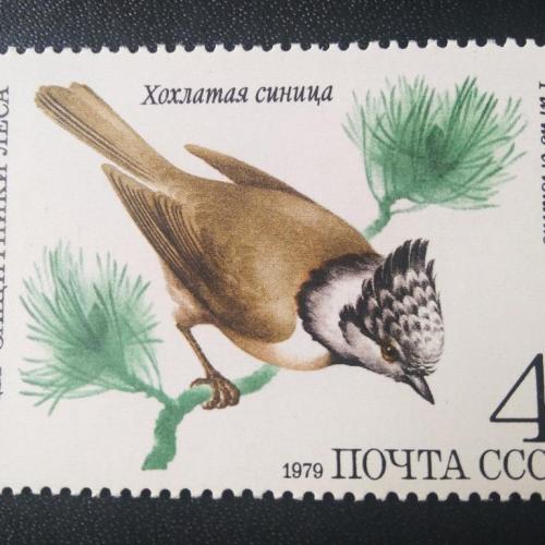 СССР 1979 Птицы