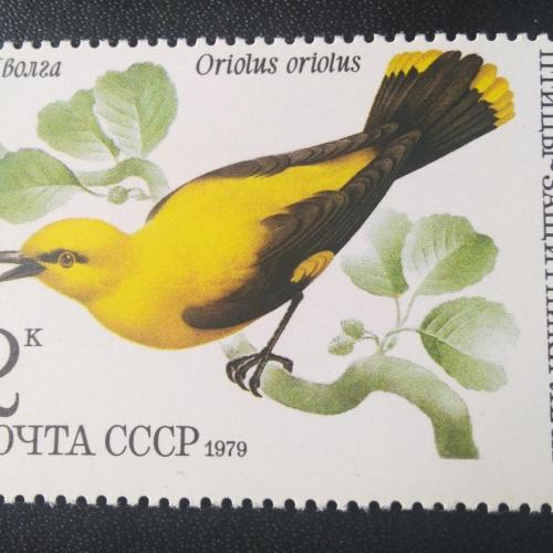 СССР 1979 Птицы