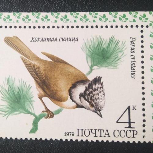 СССР 1979 Птицы