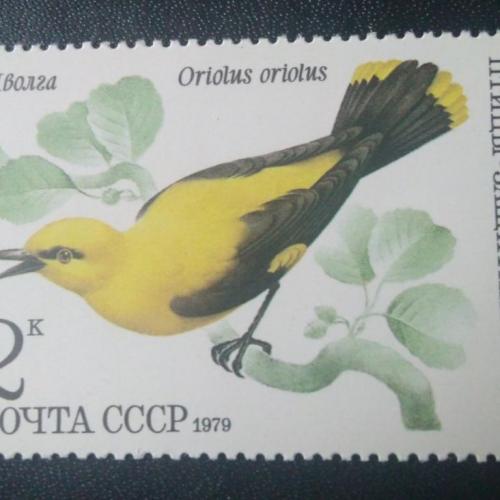 СССР 1979 Птицы