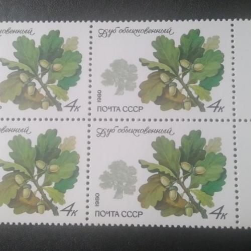 СССР 1980 Деревья