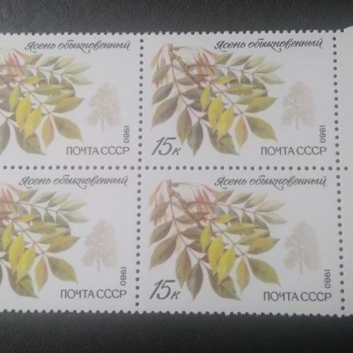 СССР 1980 Деревья