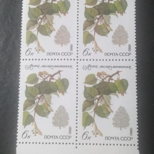 СССР 1980 Деревья