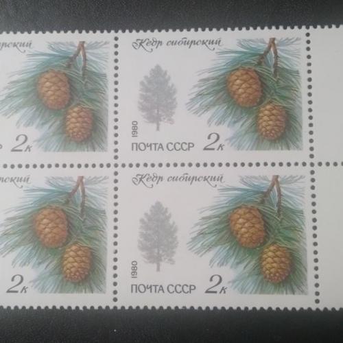 СССР 1980 Деревья