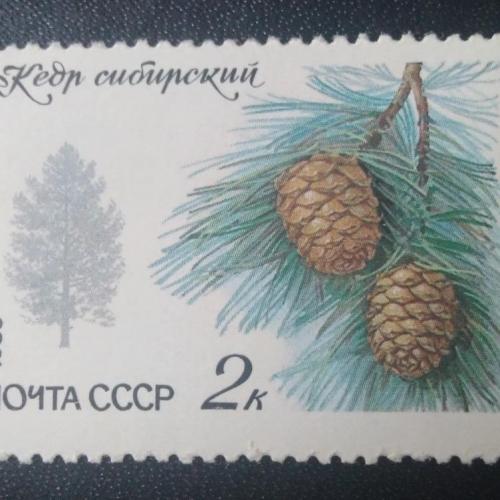 СССР 1980 Деревья 