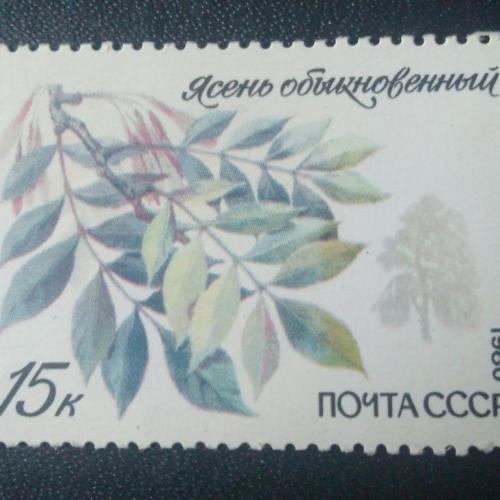 СССР 1980 Деревья 