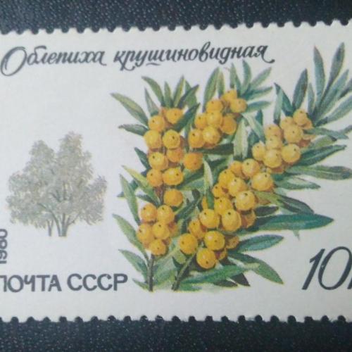 СССР 1980 Деревья 