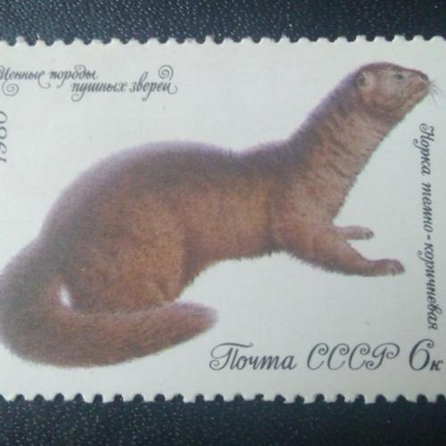 СССР 1980 Животные