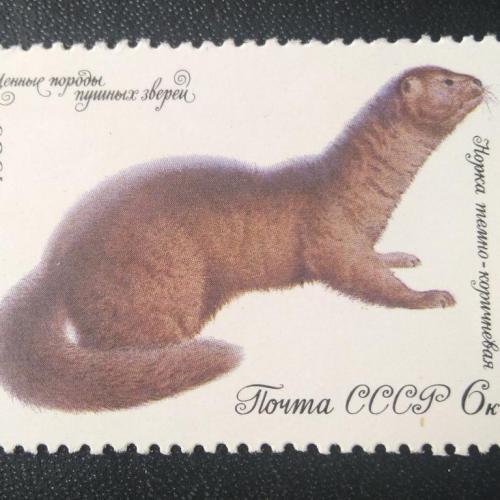 СССР 1980 Животные