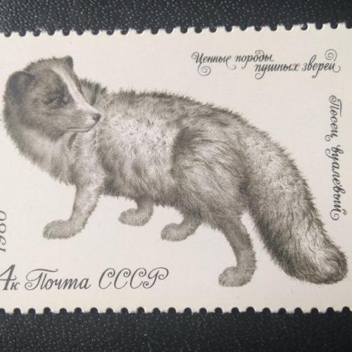СССР 1980 Животные