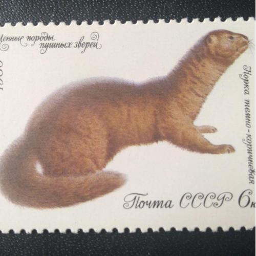 СССР 1980 Животные