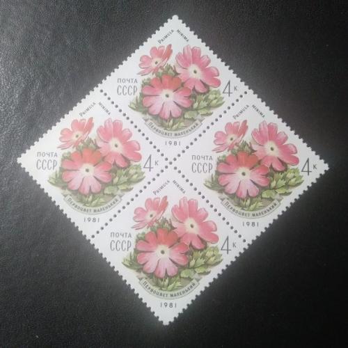 СССР 1981 Цветы