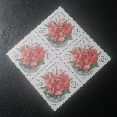 СССР 1981 Цветы