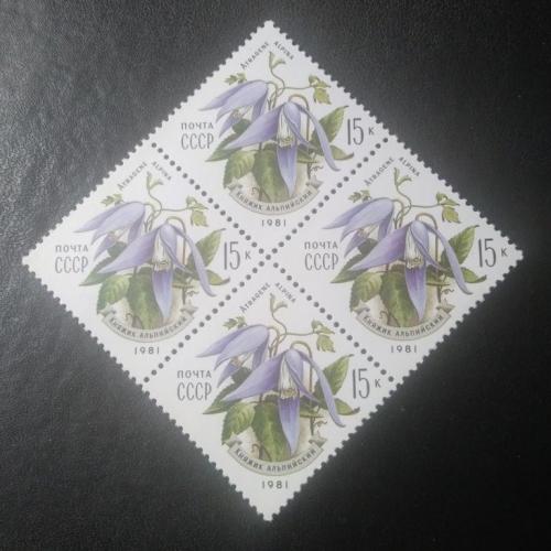 СССР 1981 Цветы