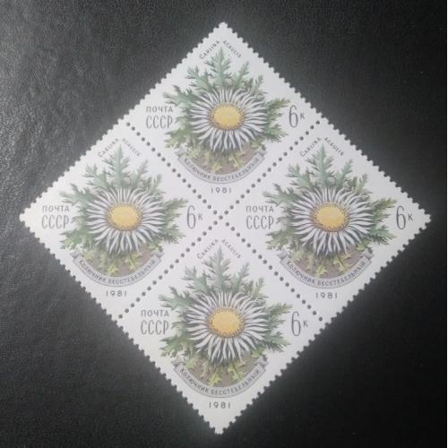 СССР 1981 Цветы