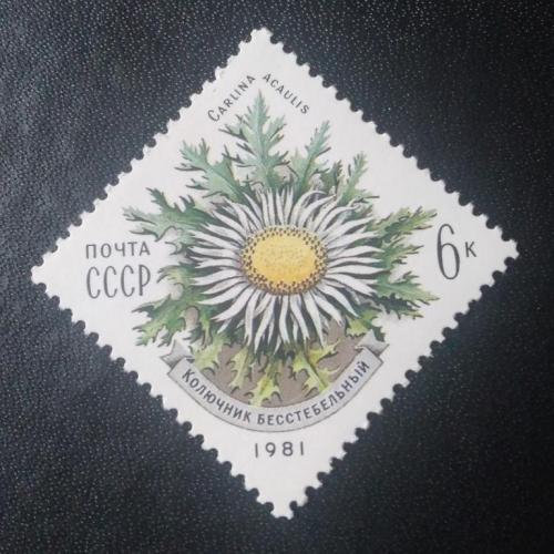 СССР 1981 Цветы 