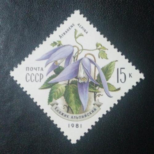 СССР 1981 Цветы 