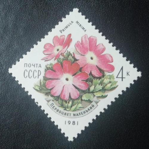 СССР 1981 Цветы 