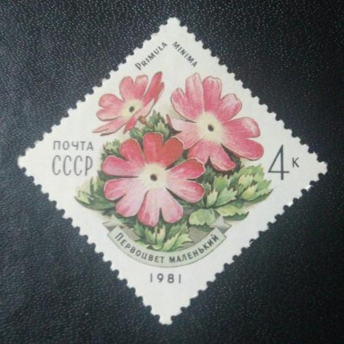 СССР 1981 Цветы 