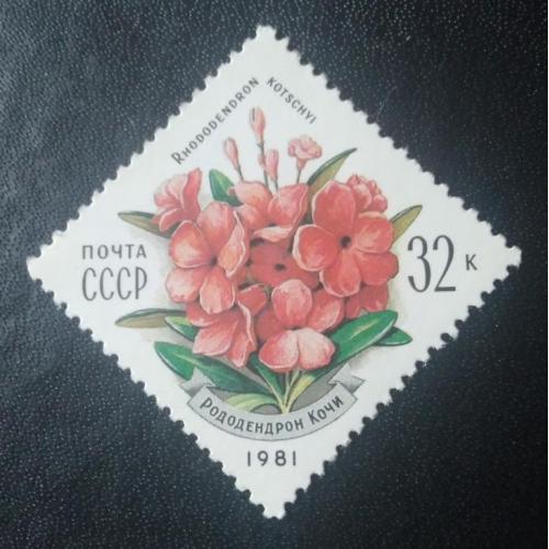 СССР 1981 Цветы 
