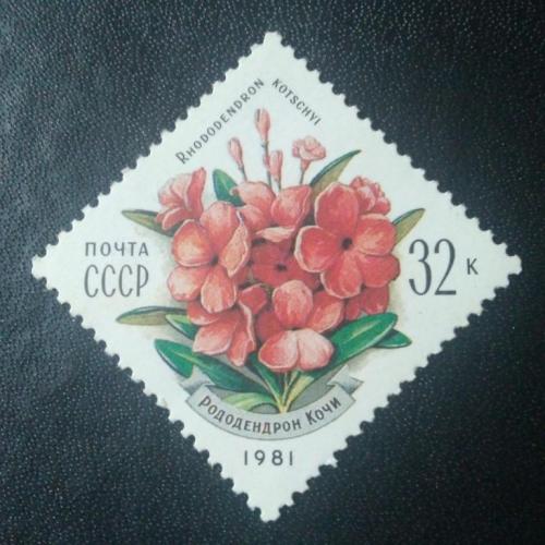 СССР 1981 Цветы 
