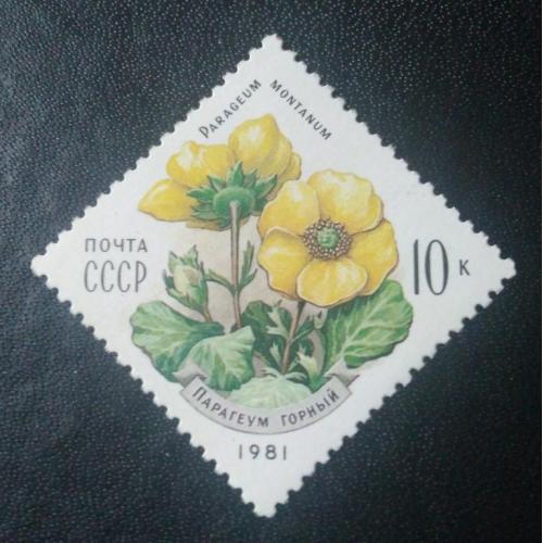 СССР 1981 Цветы 