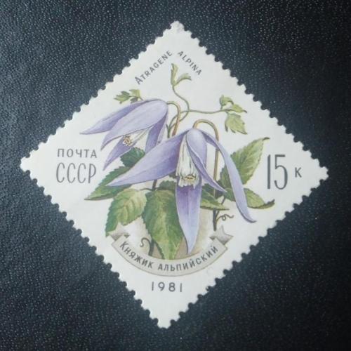 СССР 1981 Цветы 