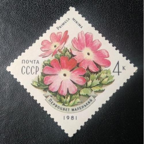 СССР 1981 Цветы