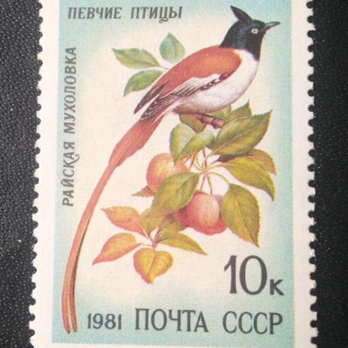 СССР 1981 Певчие птицы 