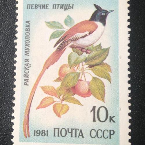СССР 1981 Певчие птицы 