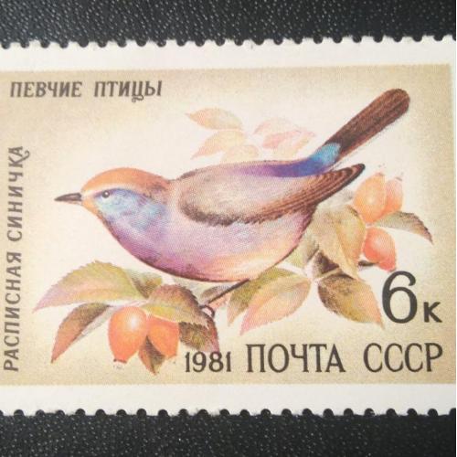 СССР 1981 Певчие птицы 