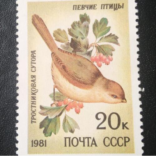 СССР 1981 Певчие птицы 