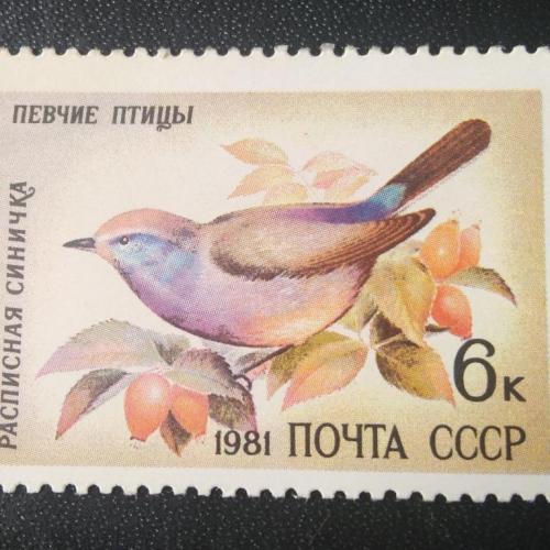 СССР 1981 Певчие птицы 