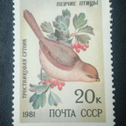 СССР 1981 Певчие птицы