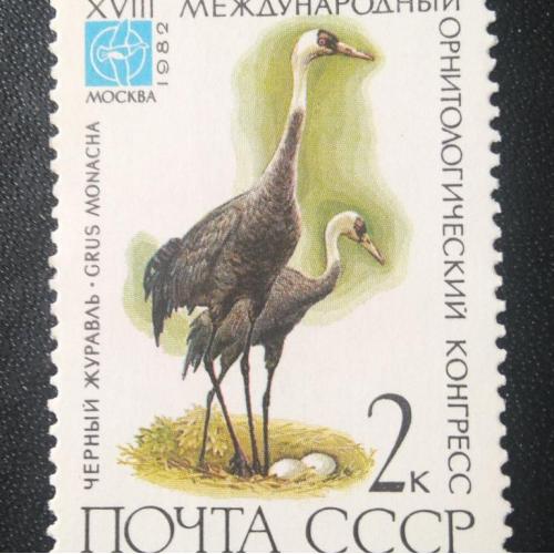 СССР 1982 18 Международный орнитологический конгресс 