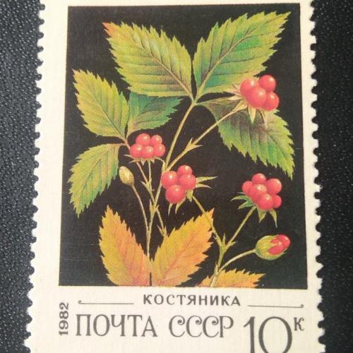  СССР 1982 Ягоды