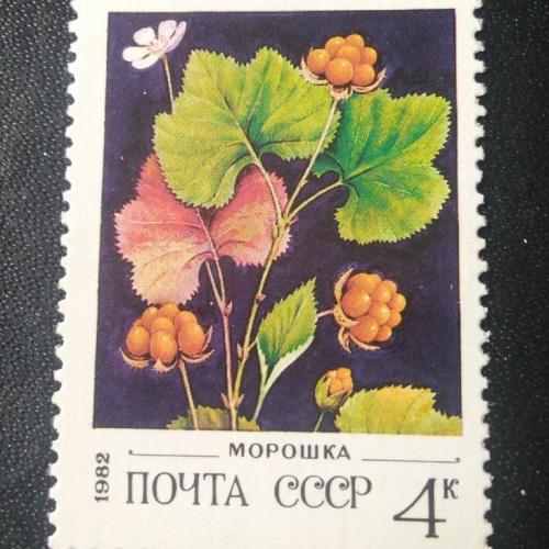  СССР 1982 Ягоды