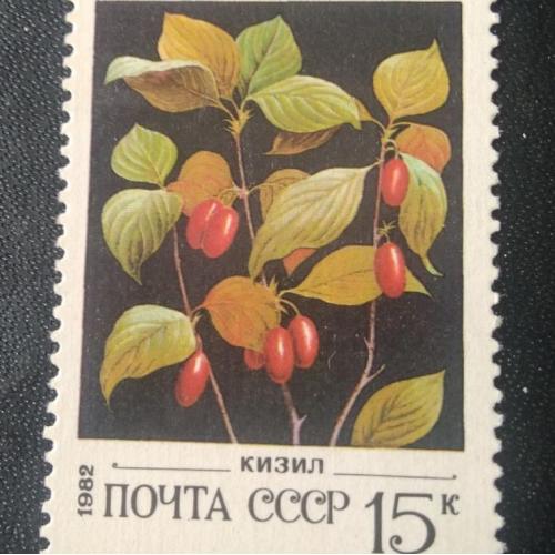  СССР 1982 Ягоды