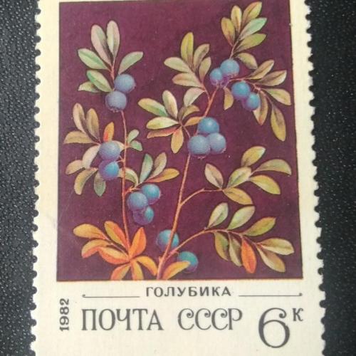  СССР 1982 Ягоды